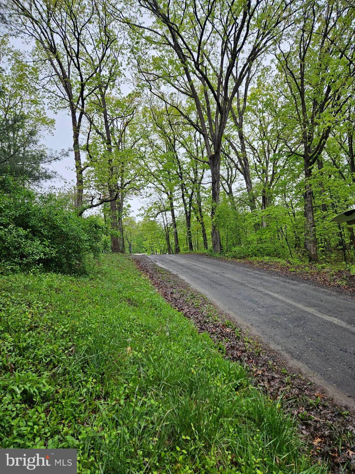 Mountain Road Augusta, WV 26704 - Photo 3 of 11
