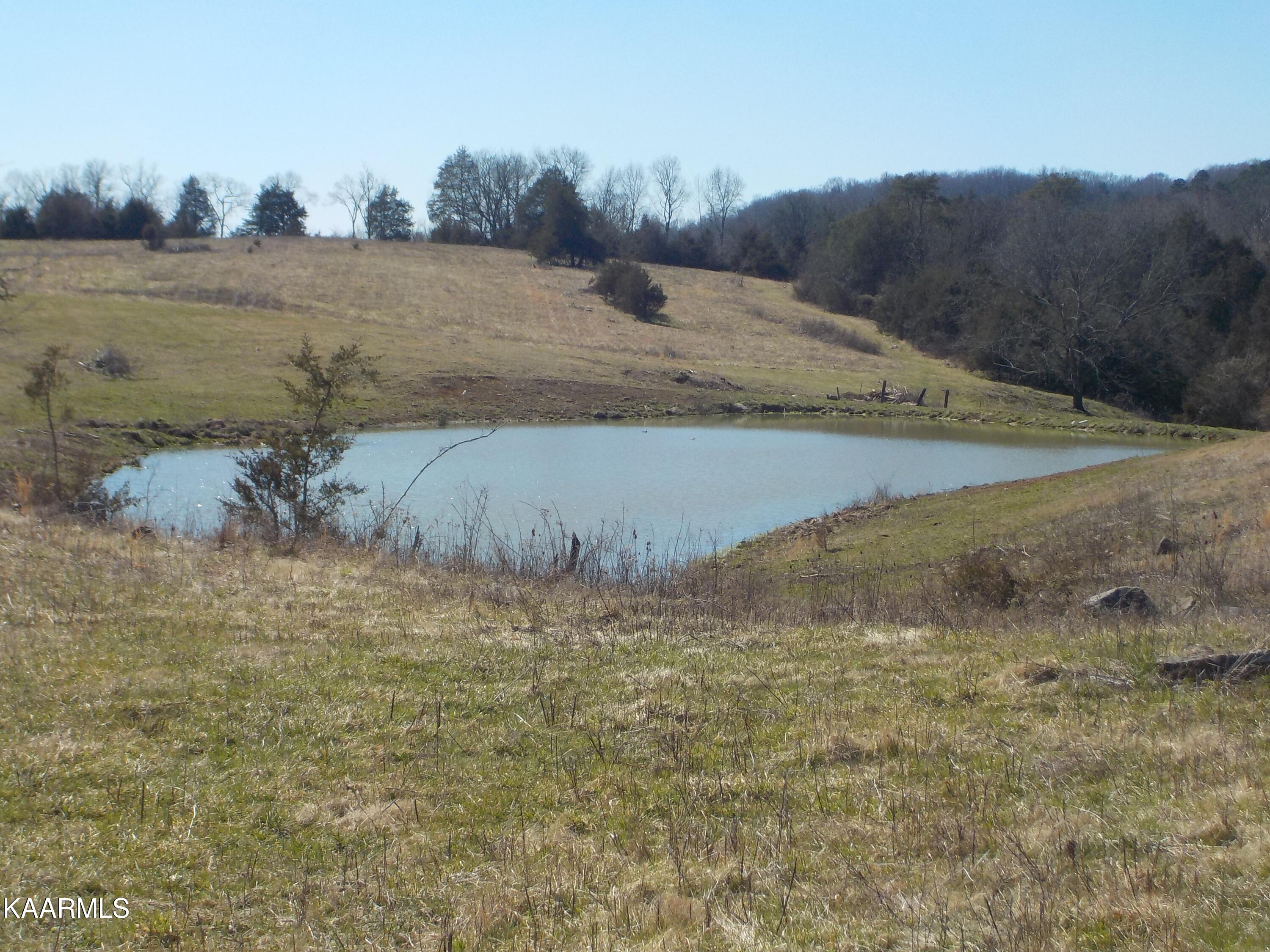 Dale Road Powder Springs, TN 37848 - Photo 1 of 44 DSCN2544