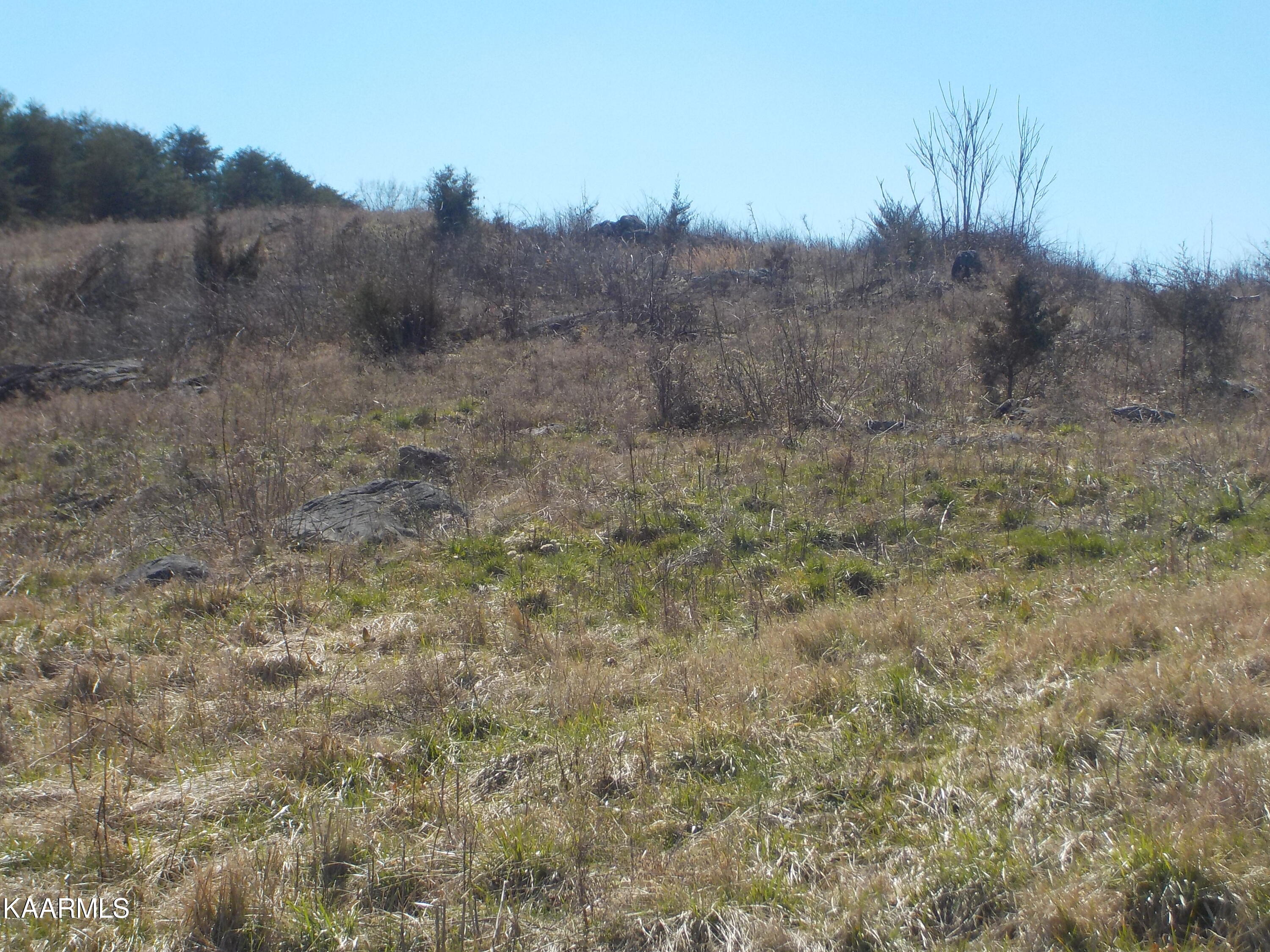 Dale Road Powder Springs, TN 37848 - Photo 13 of 44 DSCN2535