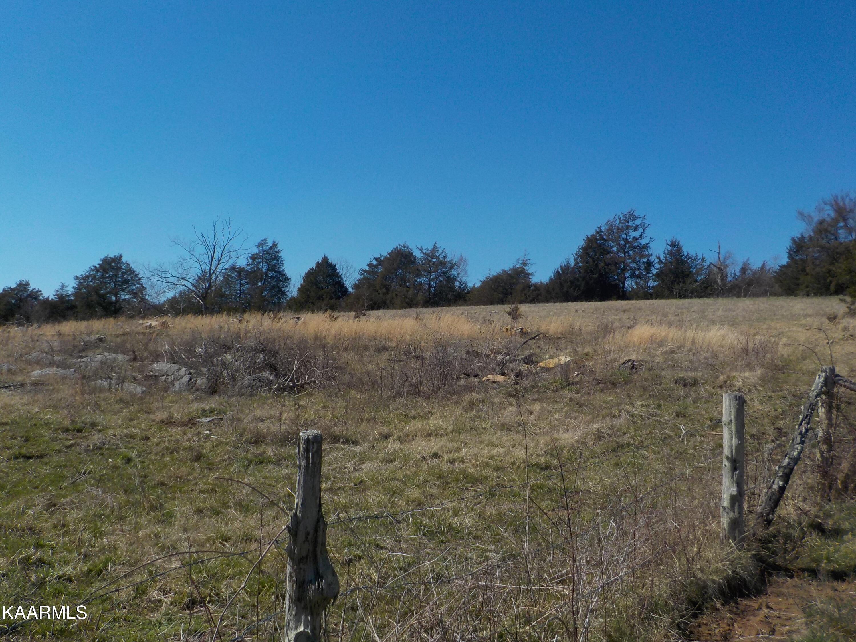 Dale Road Powder Springs, TN 37848 - Photo 17 of 44 DSCN2539