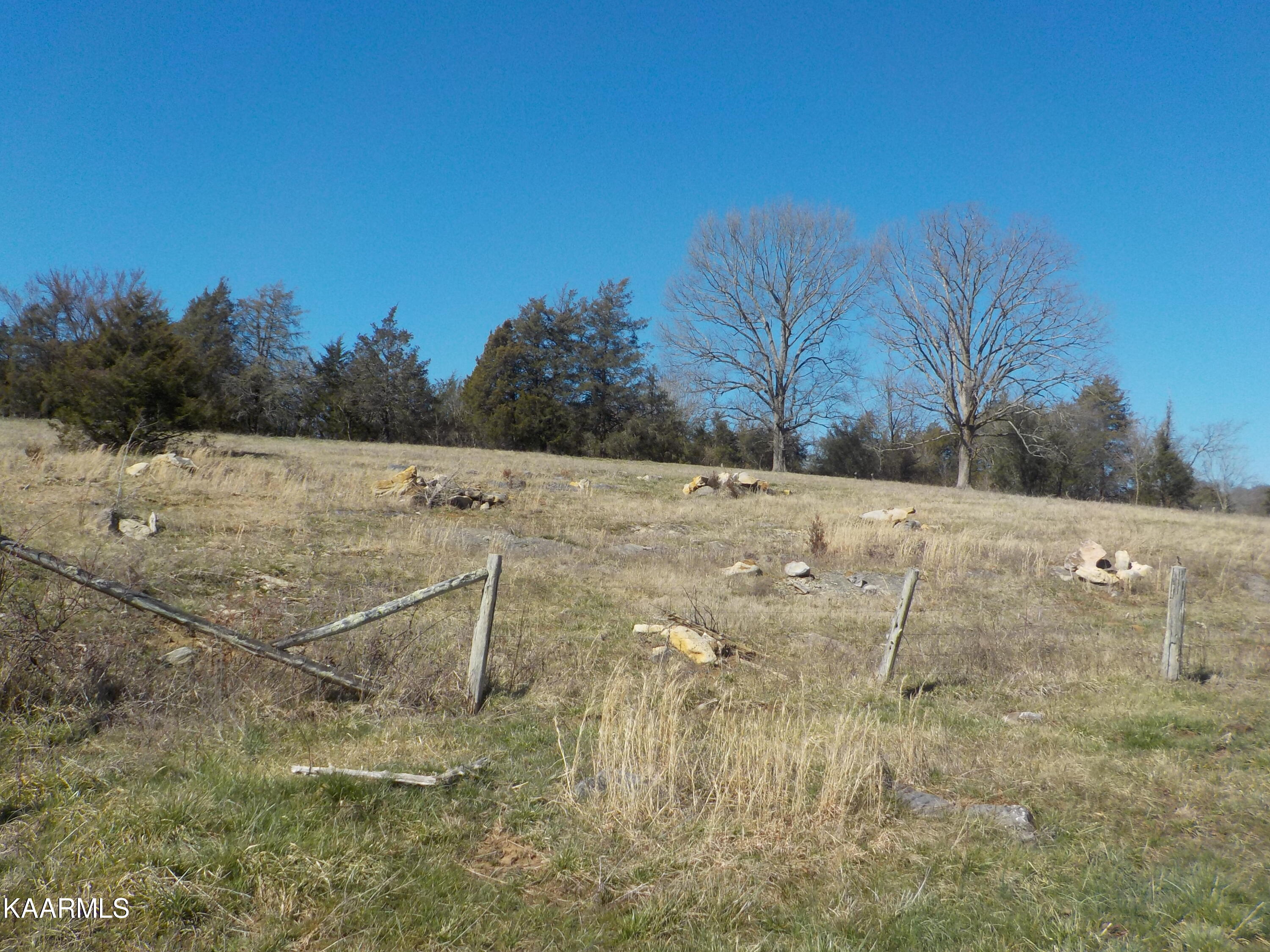 Dale Road Powder Springs, TN 37848 - Photo 18 of 44 DSCN2540