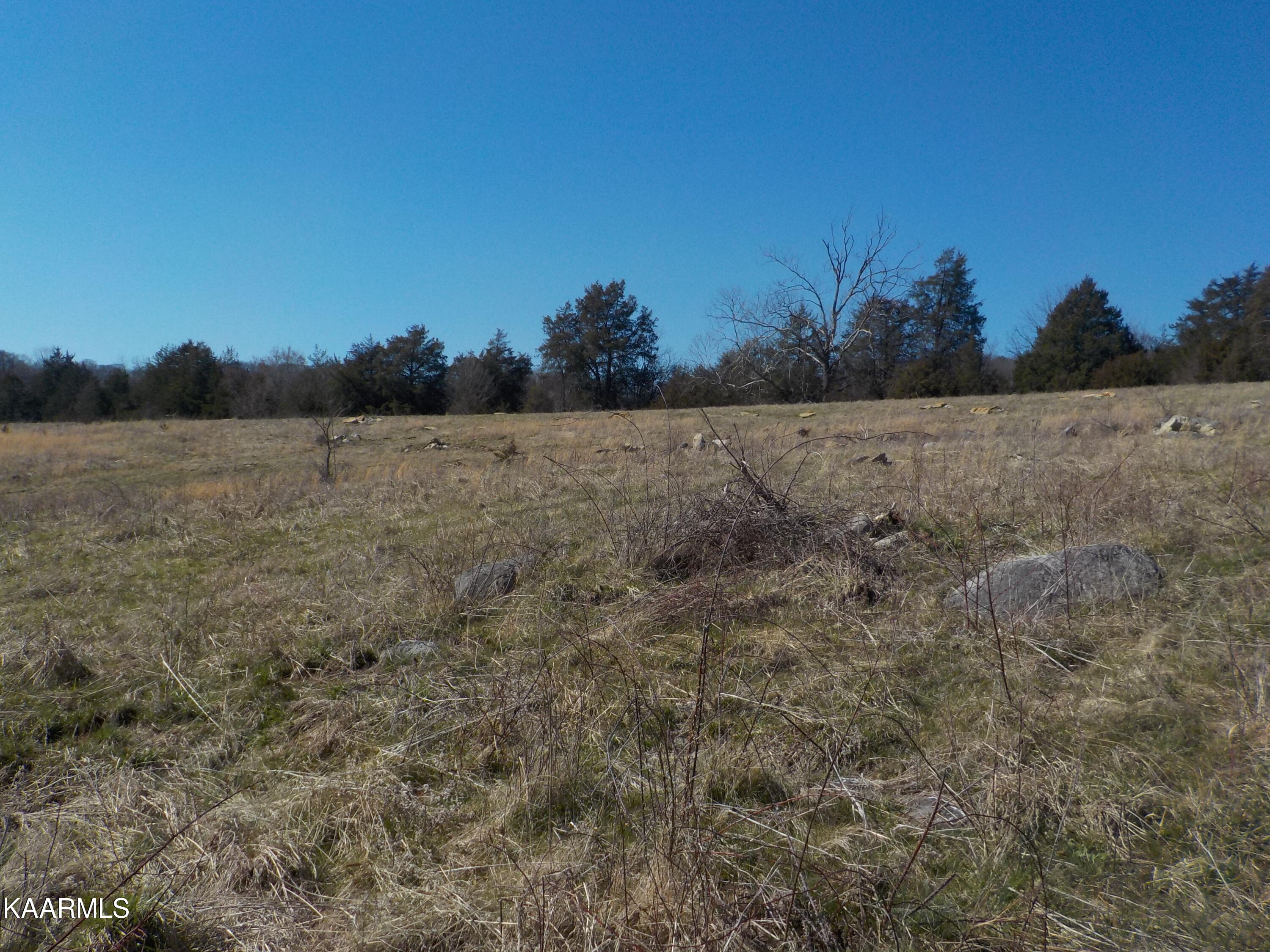 Dale Road Powder Springs, TN 37848 - Photo 19 of 44 DSCN2541