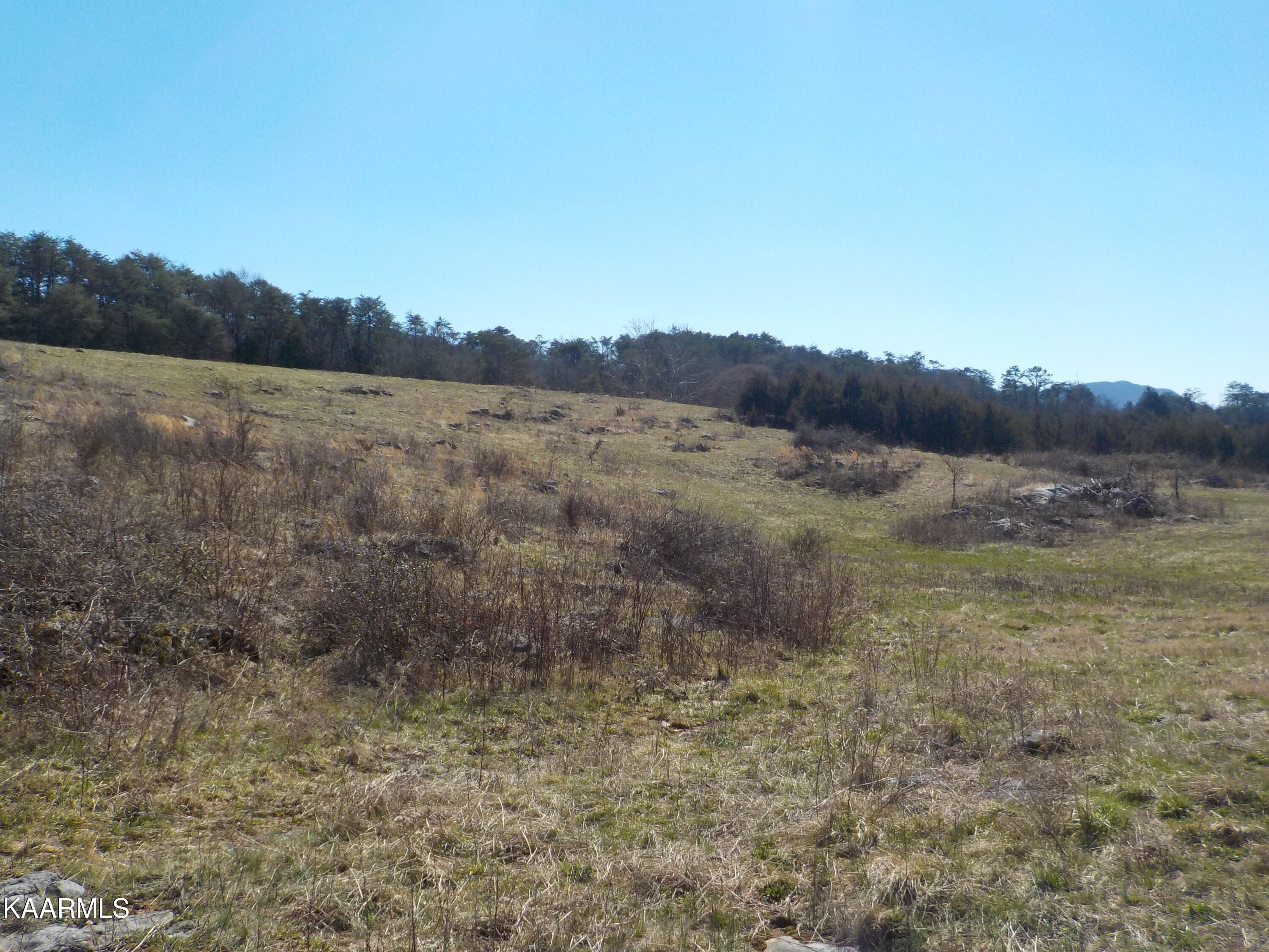 Dale Road Powder Springs, TN 37848 - Photo 20 of 44 DSCN2542