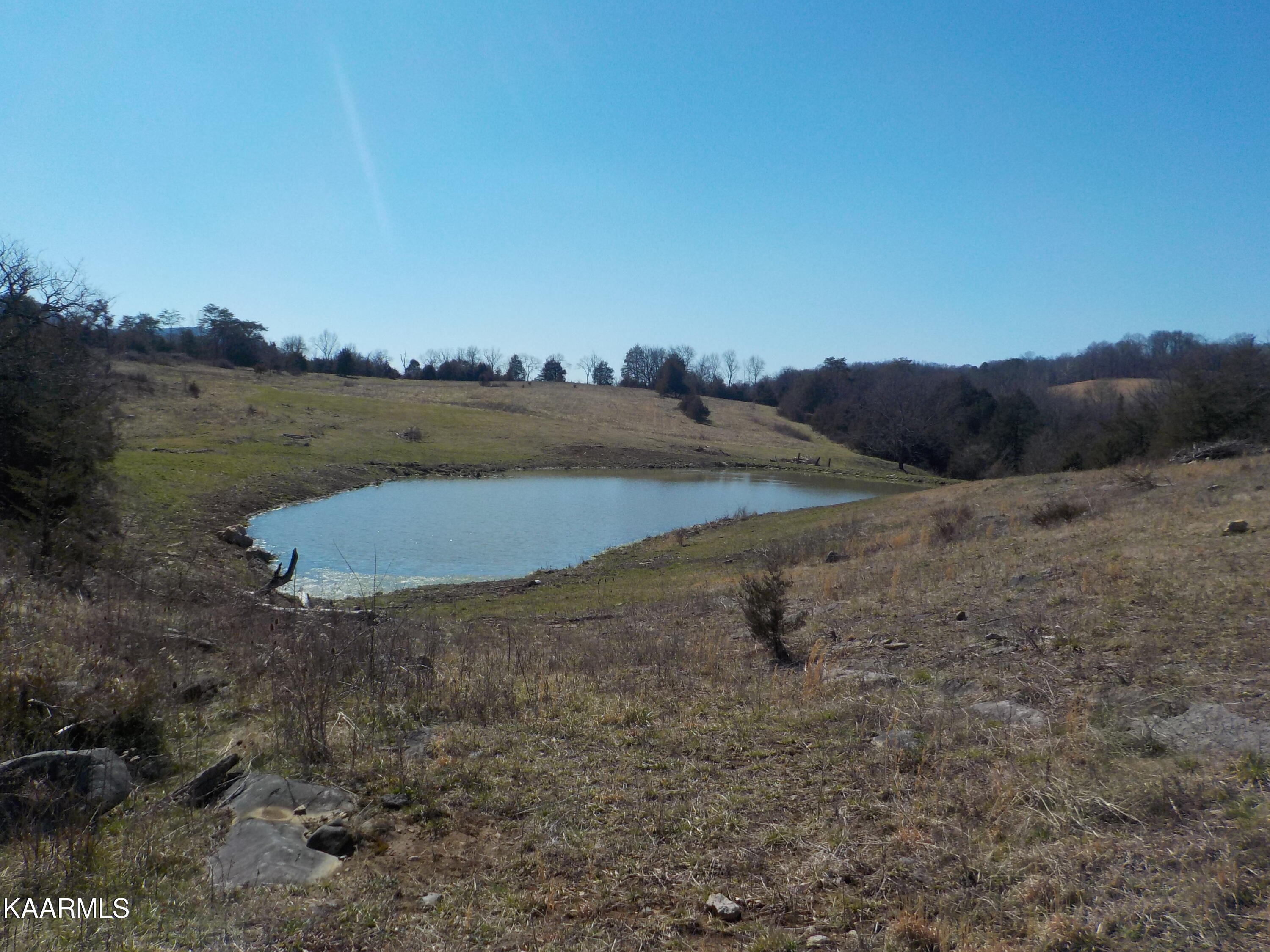 Dale Road Powder Springs, TN 37848 - Photo 2 of 44 DSCN2545