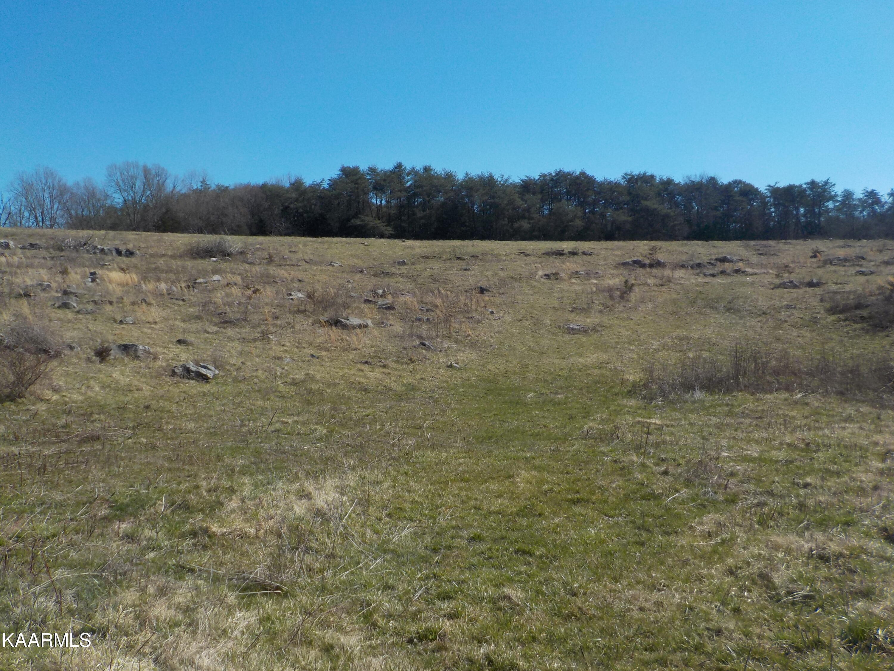Dale Road Powder Springs, TN 37848 - Photo 21 of 44 DSCN2543