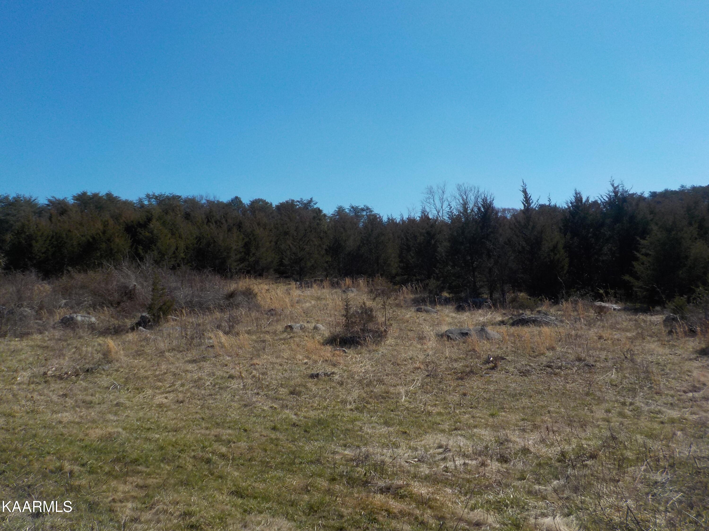 Dale Road Powder Springs, TN 37848 - Photo 22 of 44 DSCN2547
