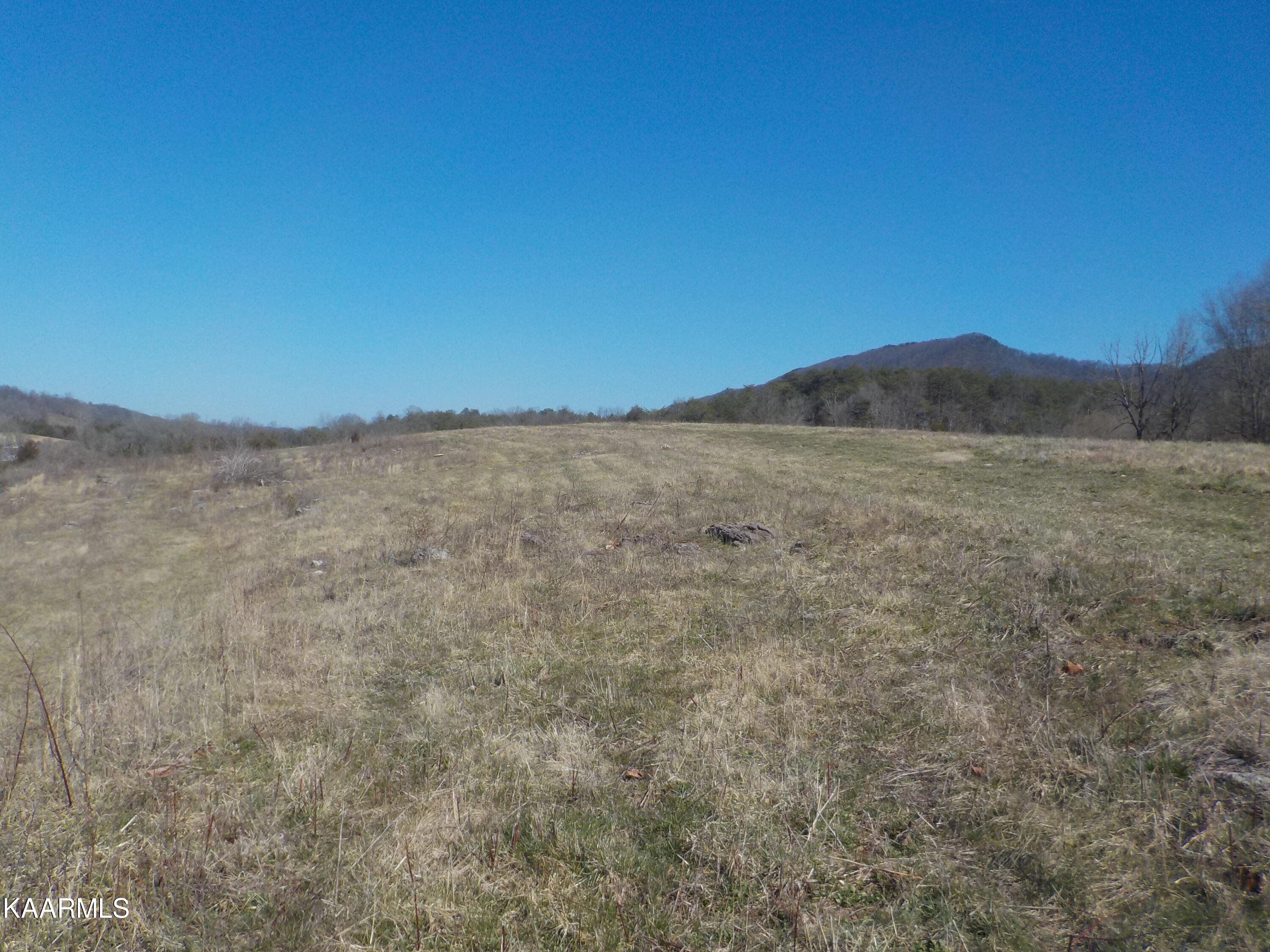 Dale Road Powder Springs, TN 37848 - Photo 23 of 44 DSCN2548