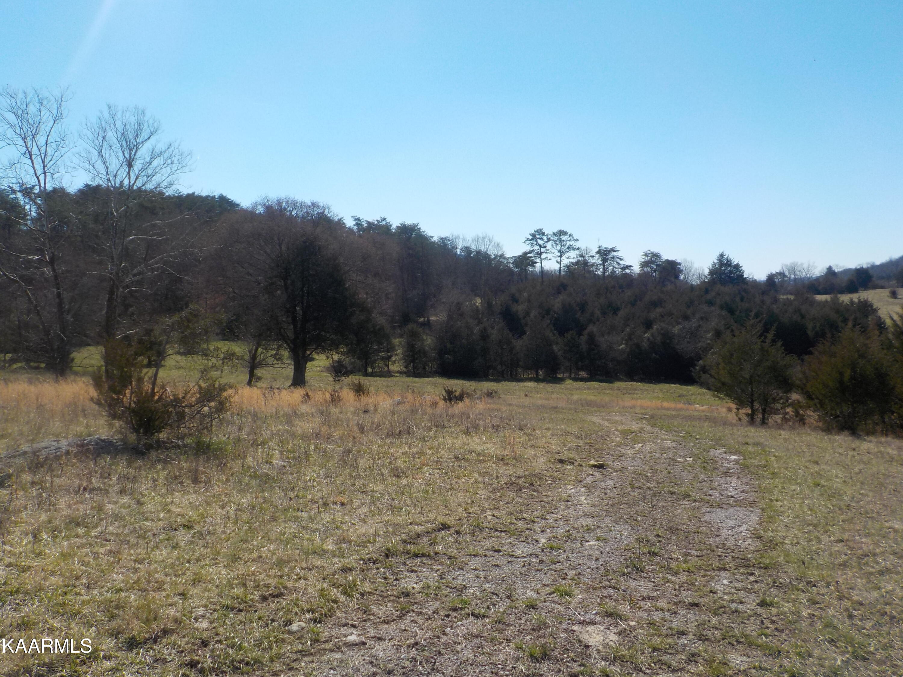 Dale Road Powder Springs, TN 37848 - Photo 24 of 44 DSCN2549