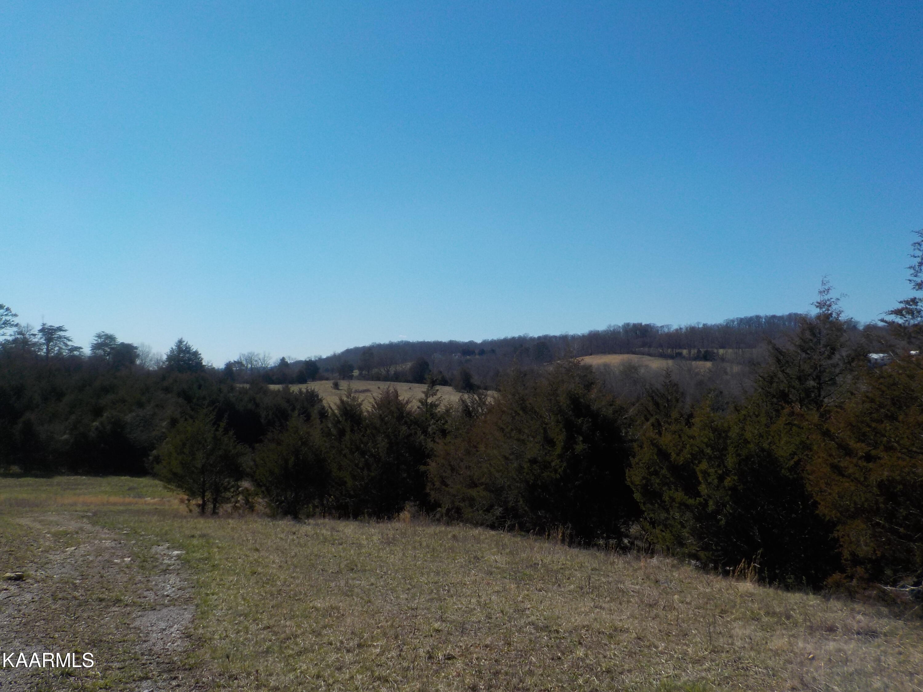 Dale Road Powder Springs, TN 37848 - Photo 25 of 44 DSCN2550