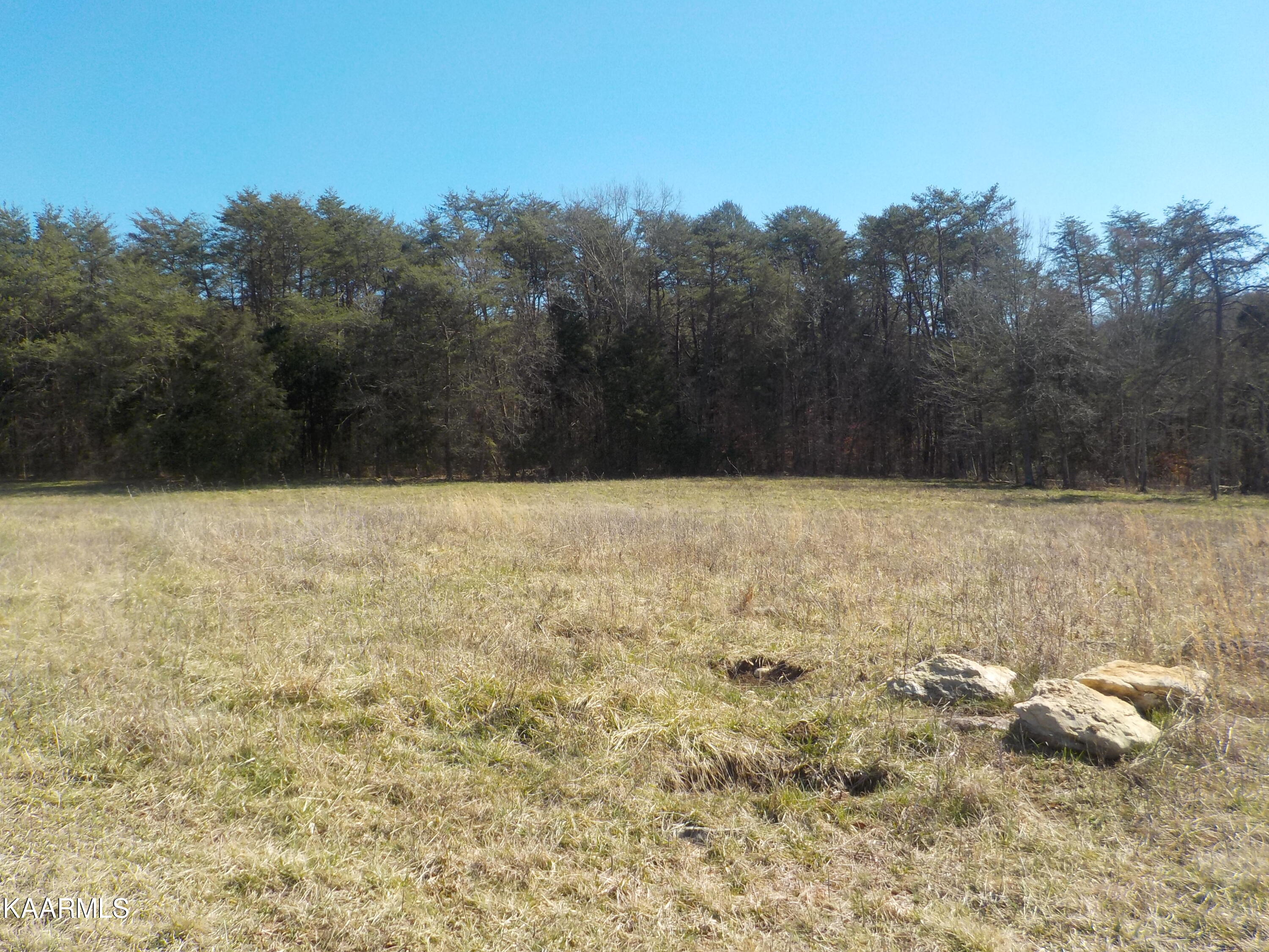 Dale Road Powder Springs, TN 37848 - Photo 26 of 44 DSCN2551
