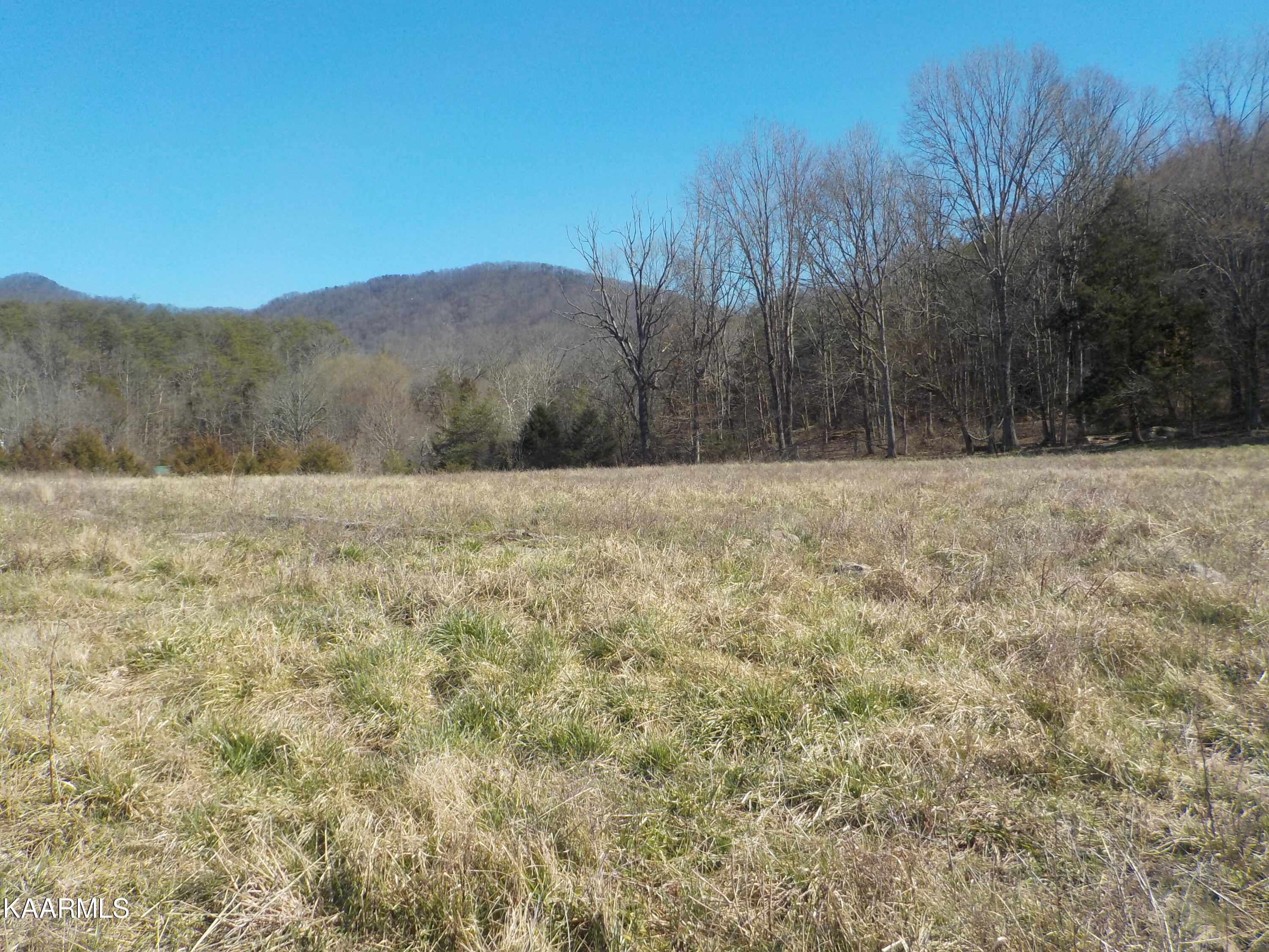 Dale Road Powder Springs, TN 37848 - Photo 27 of 44 DSCN2552