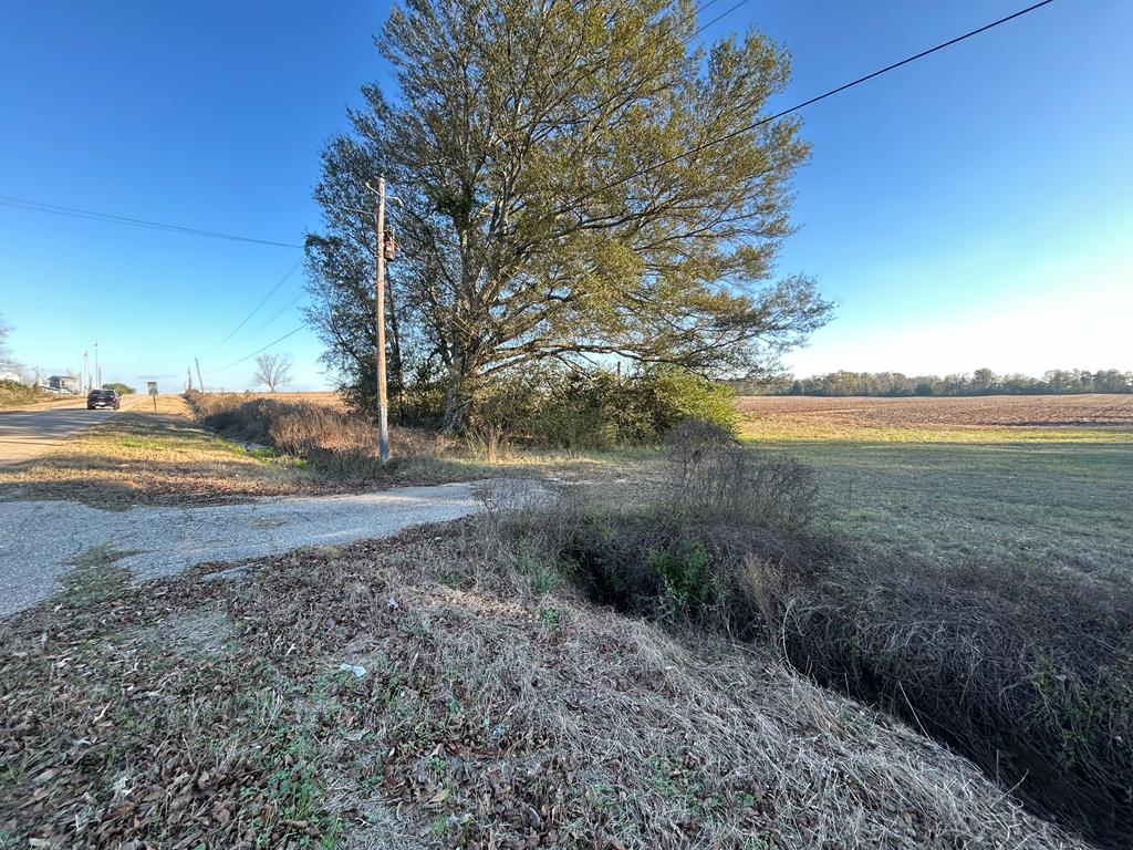 51.8-ac Hadden Road Dothan, AL 36301 - Photo 17 of 43
