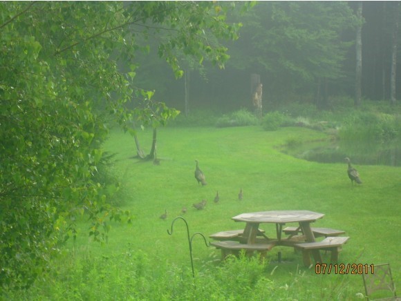 687 Cottage Club Road Stowe, VT 05672 - Photo 18 of 34 Gallery Image 18