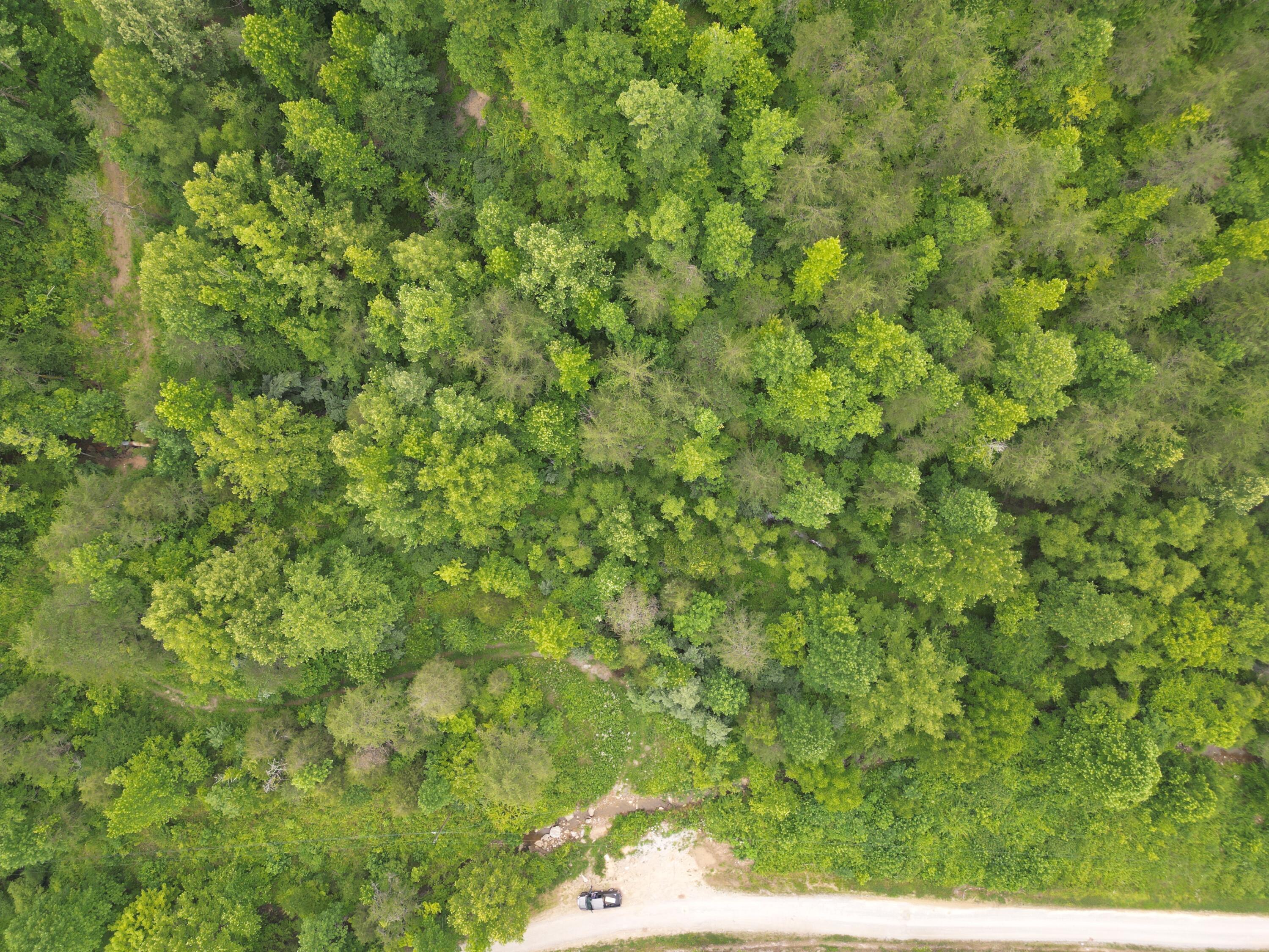 9991 Big Wildcat Road Manchester, KY 40962 - Photo 8 of 19 DJI_0135