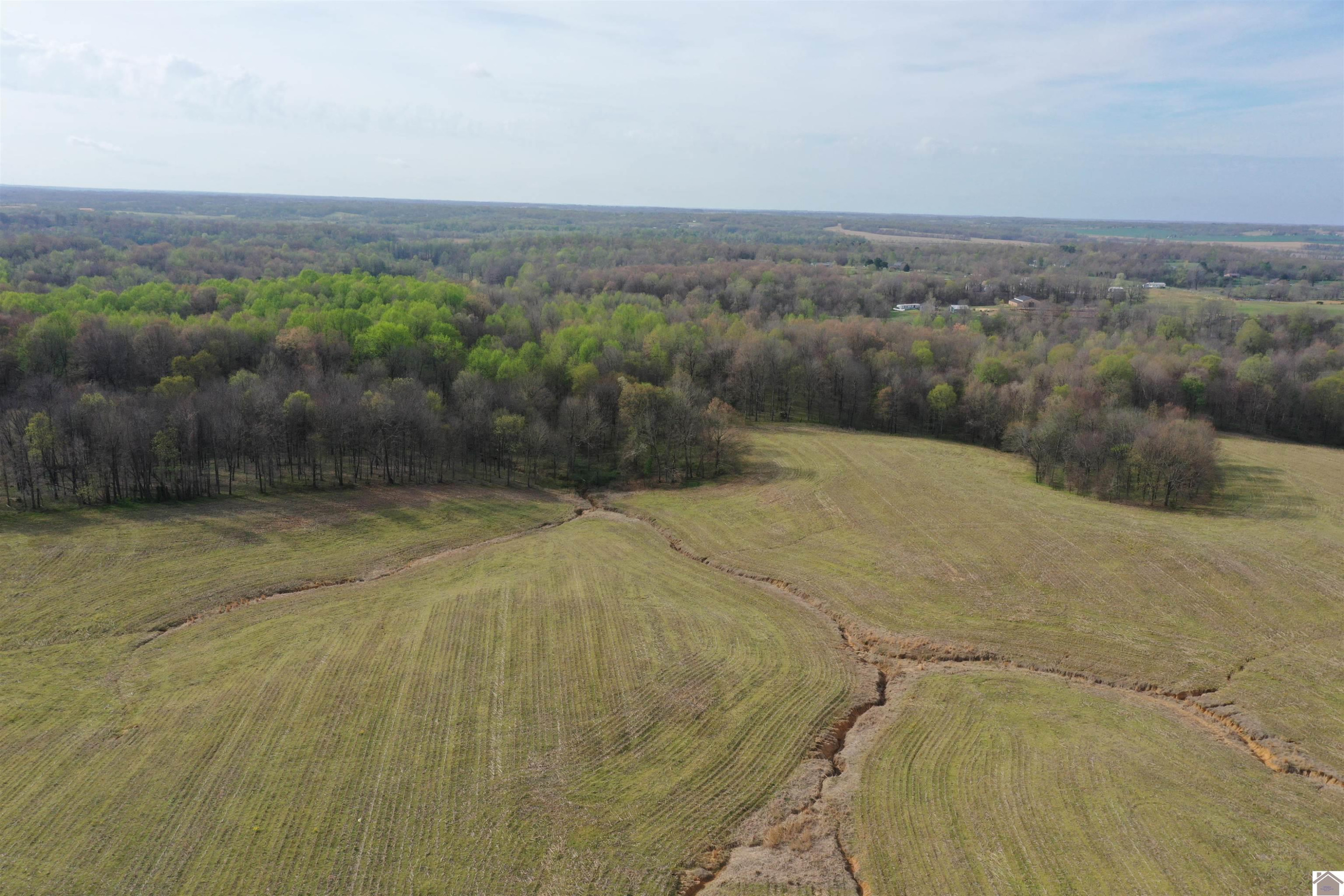 Dublin Hill Road, Unit TRACT 12 Fancy Farm, KY 42039 - Photo 8 of 22 Photo 8