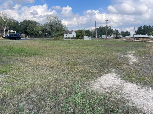 a view of a big yard with a large trees