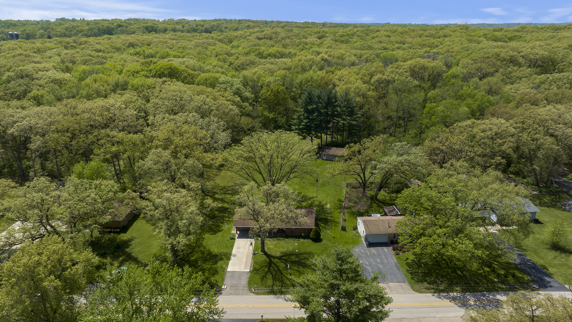 2077 Grand Detour Road Dixon, IL 61021 - Photo 7 of 33 a view of a lush green forest with lots of trees