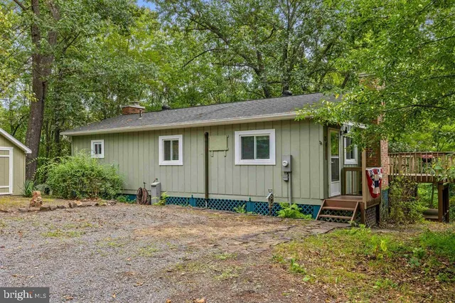 a backyard of a house with potted plants and large tree
