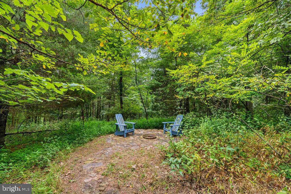 112 Judd Lane Mount Jackson, VA 22842 - Photo 41 of 63 a view of a yard with plants and a trees