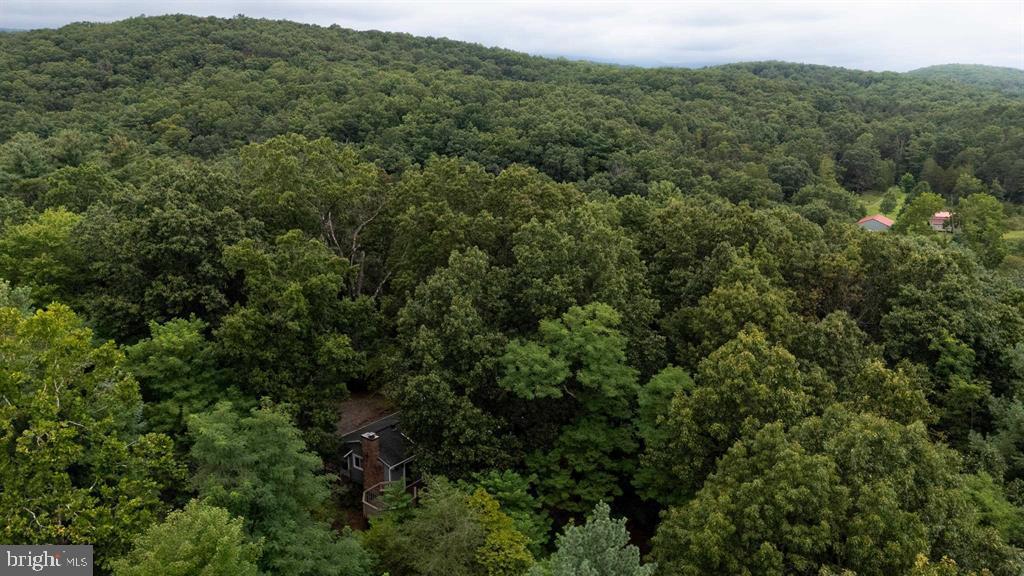 112 Judd Lane Mount Jackson, VA 22842 - Photo 55 of 63 an aerial view of residential houses with outdoor space and trees
