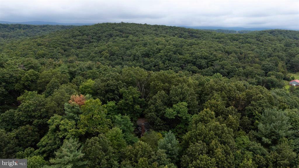 112 Judd Lane Mount Jackson, VA 22842 - Photo 62 of 63 an aerial view of a houses with a yard and lake