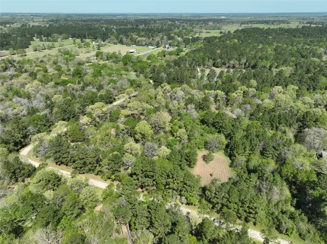 an aerial view of residential houses with outdoor space and trees
