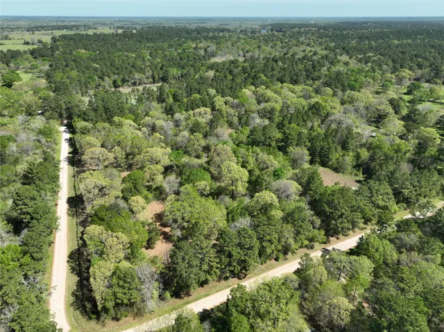view of a city with lush green forest