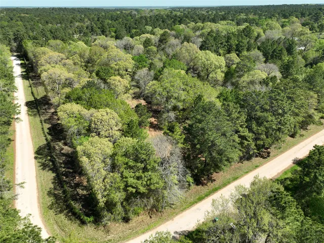 a view of a forest from a window