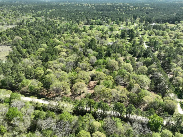 a view of a house with a lush green forest