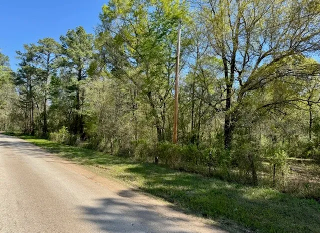 $695,000 | 351 Plantersville Tx 77363, Plantersville, TX 77363