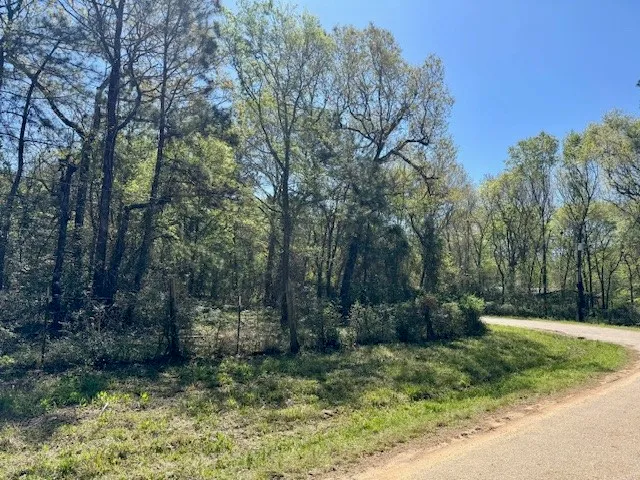 $695,000 | 351 Plantersville Tx 77363, Plantersville, TX 77363