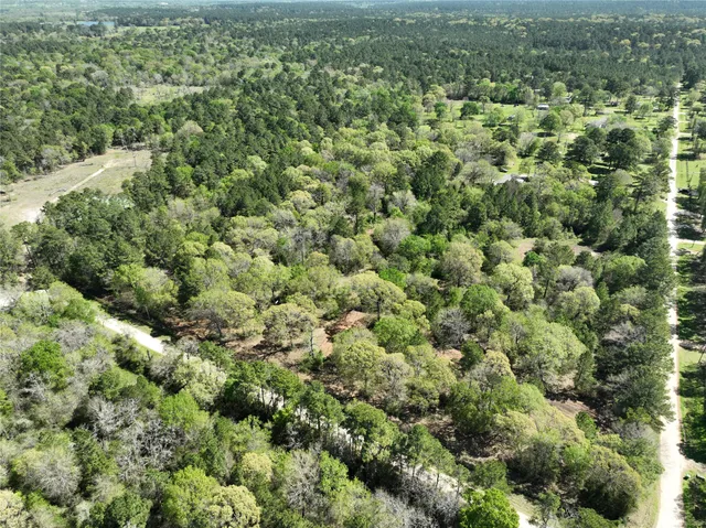 a view of a pathway both side of yard