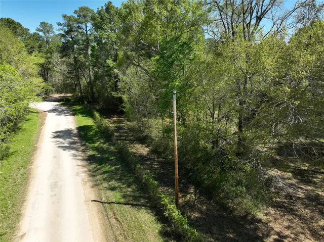 an aerial view of forest