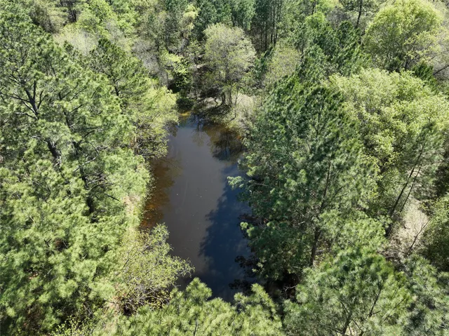 view of a field with trees