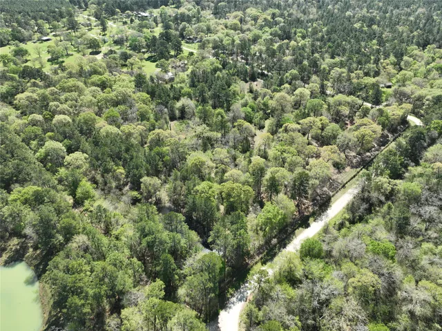 a view of a large yard with lots of bushes