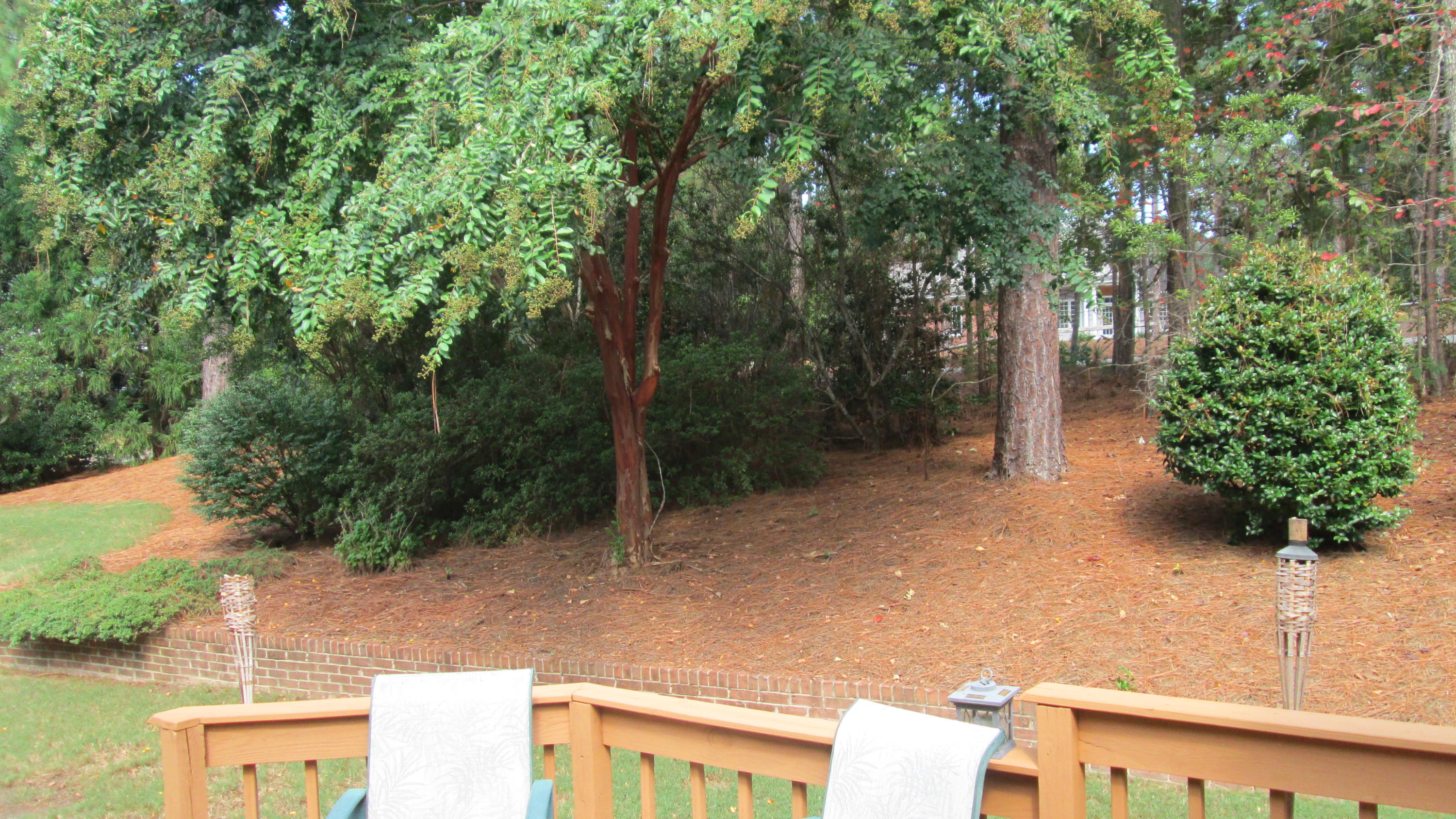 665 Elk Road Southern Pines, NC 28387 - Photo 10 of 26 IMG_1366