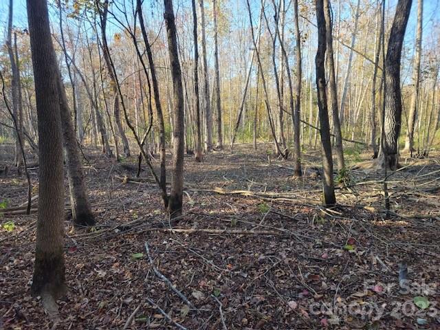 507 Abel Road Bessemer City, NC 28016 - Photo 5 of 15 a view of a yard with lots of trees