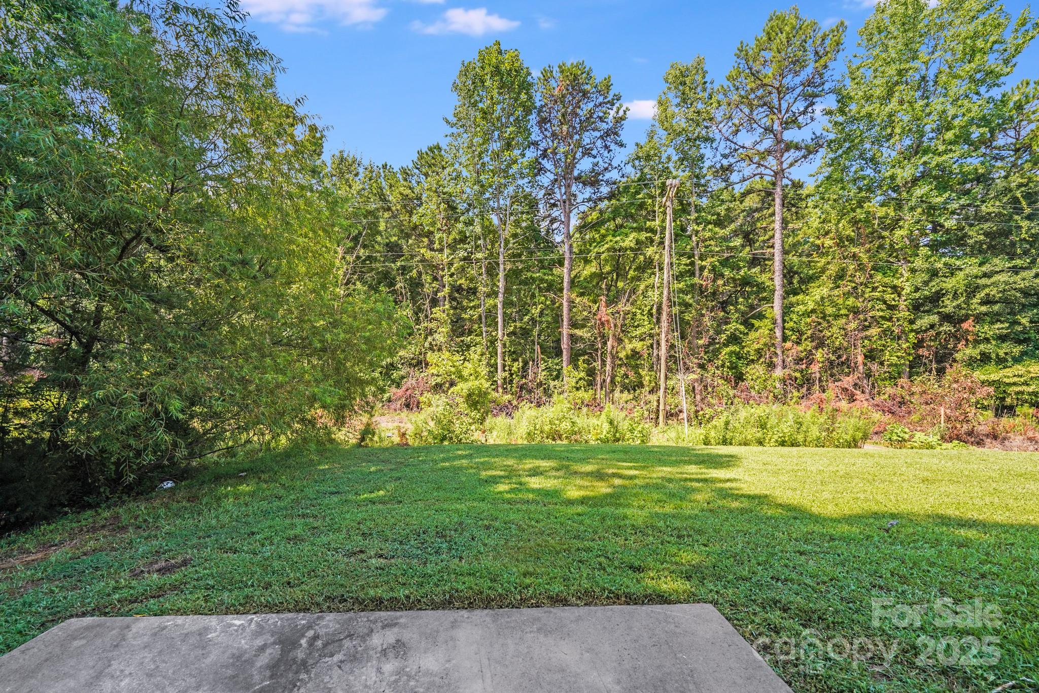 3134 Rainbow Ridge Drive Matthews, NC 28105 - Photo 20 of 20 a backyard of a house with lots of green space