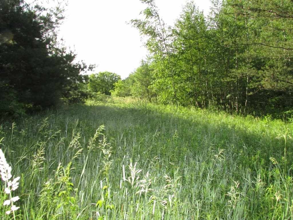 Xxx Maple Ridge Road Sterling, MI 48659 - Photo 5 of 6 Gallery Image 5