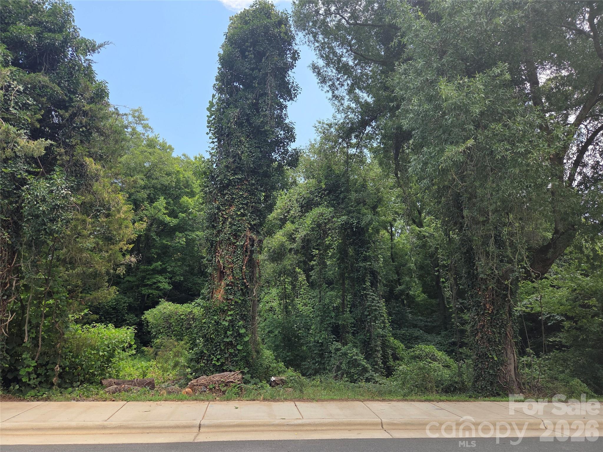 715 Old Charlotte Road Southwest Concord, NC 28027 - Photo 4 of 5