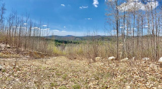 42-ac 42-ac Ben Gilpatrick Road Hiram, ME 04041 - Photo 3 of 14