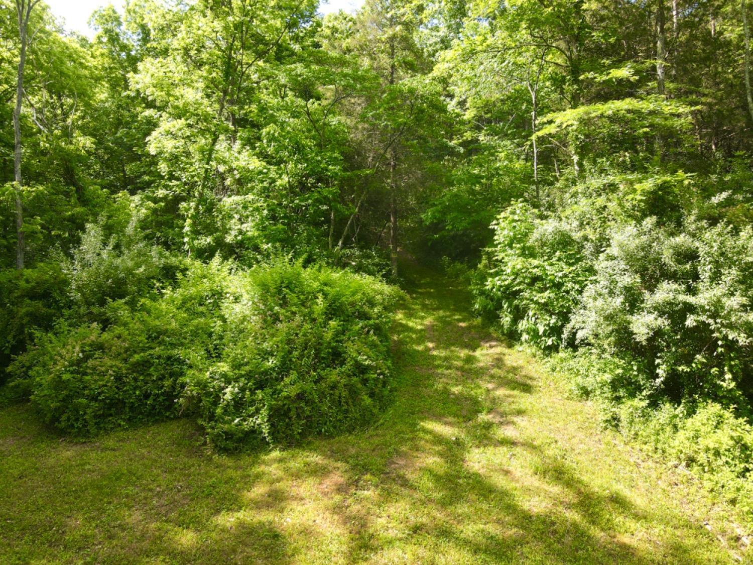 6960 Straight Creek Road Georgetown, OH 45121 - Photo 44 of 93