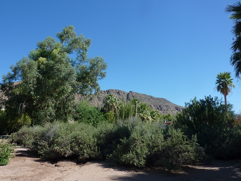 5611 E Camelback
