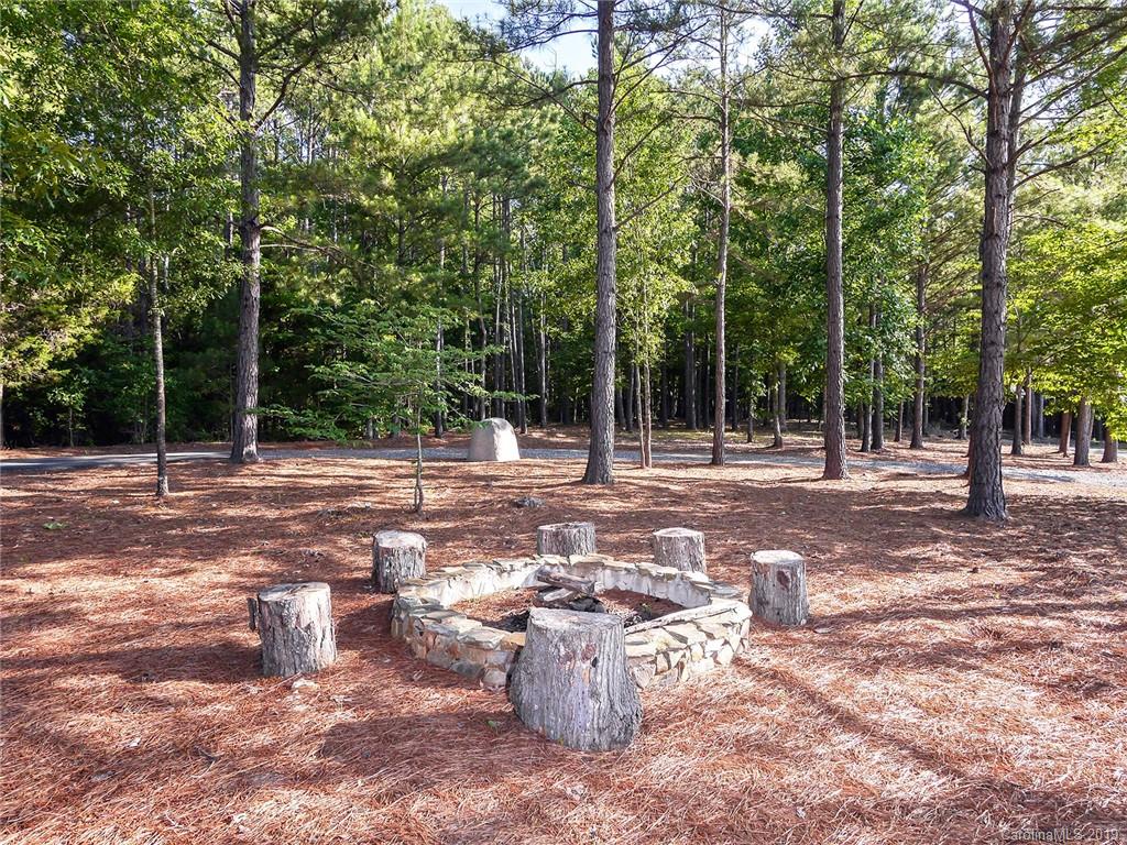4188 Tobe Road Edgemoor, SC 29712 - Photo 20 of 38 a view of a backyard with water fountain and large trees