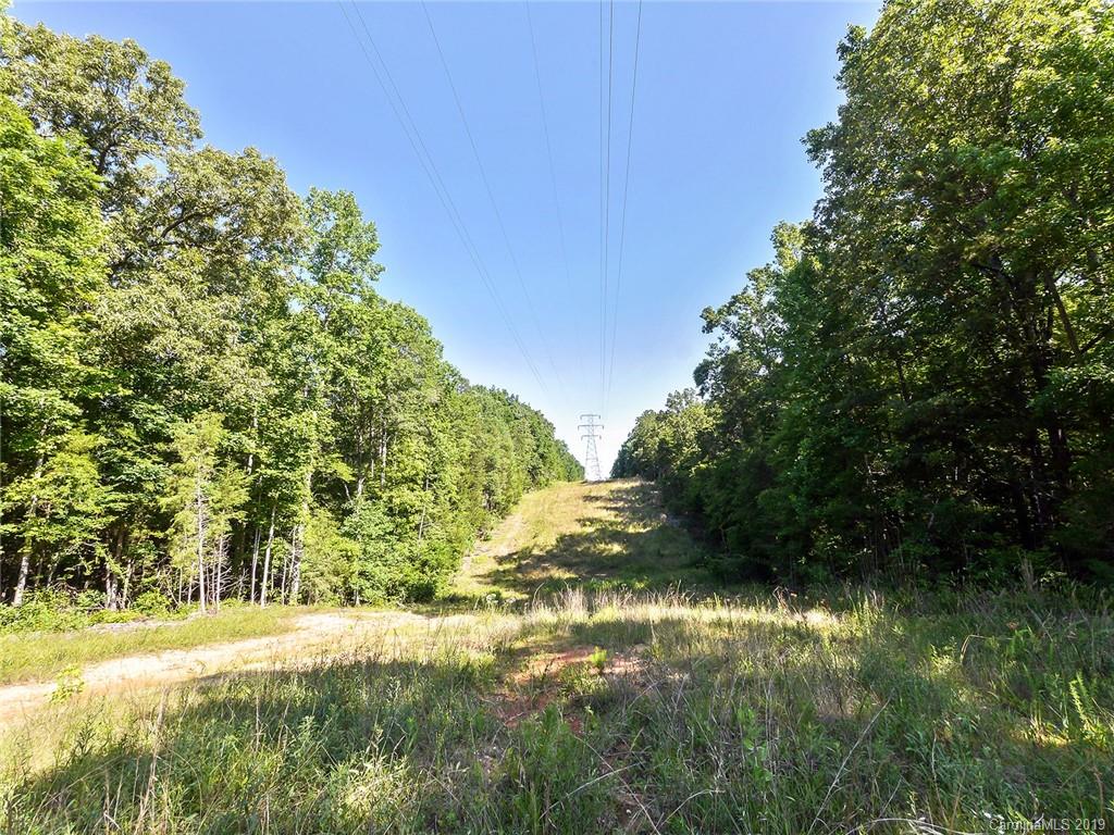 4188 Tobe Road Edgemoor, SC 29712 - Photo 30 of 38 a view of a yard with plants and a trees