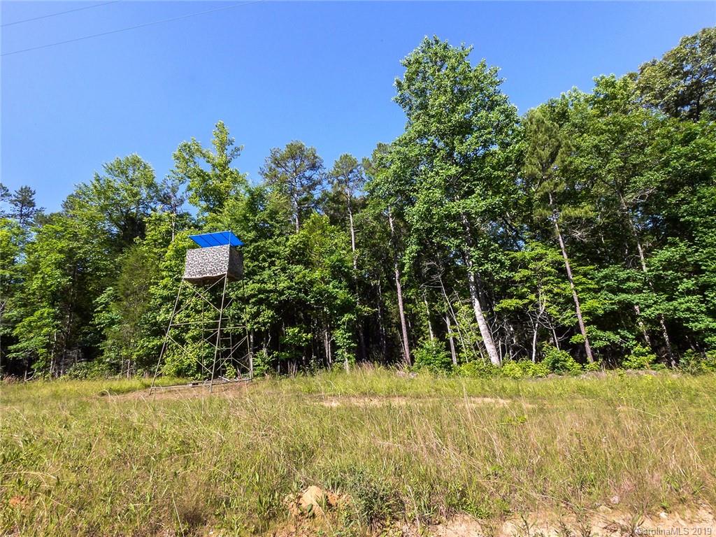 4188 Tobe Road Edgemoor, SC 29712 - Photo 31 of 38 a view of a yard with an tree