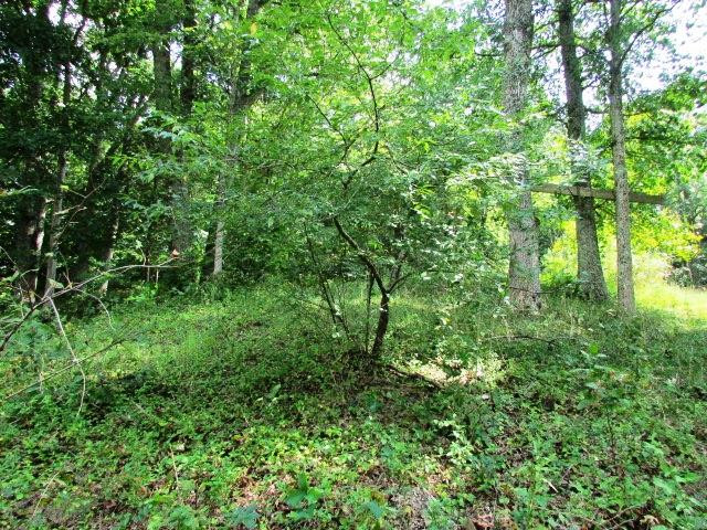 165 Jericho Road Warsaw, KY 41095 - Photo 22 of 26 Gallery Image 22