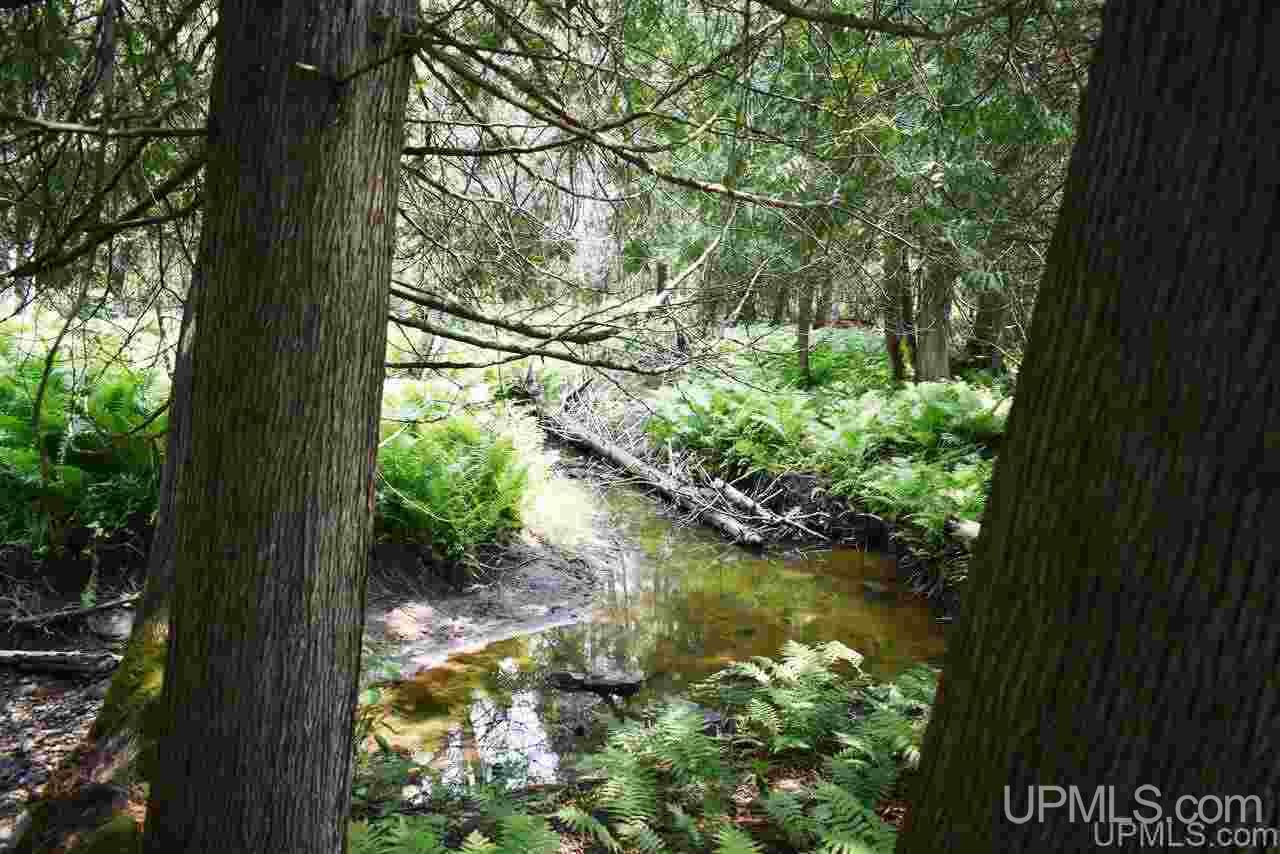 8202 Co Road Rapid River, MI 49878 - Photo 6 of 17