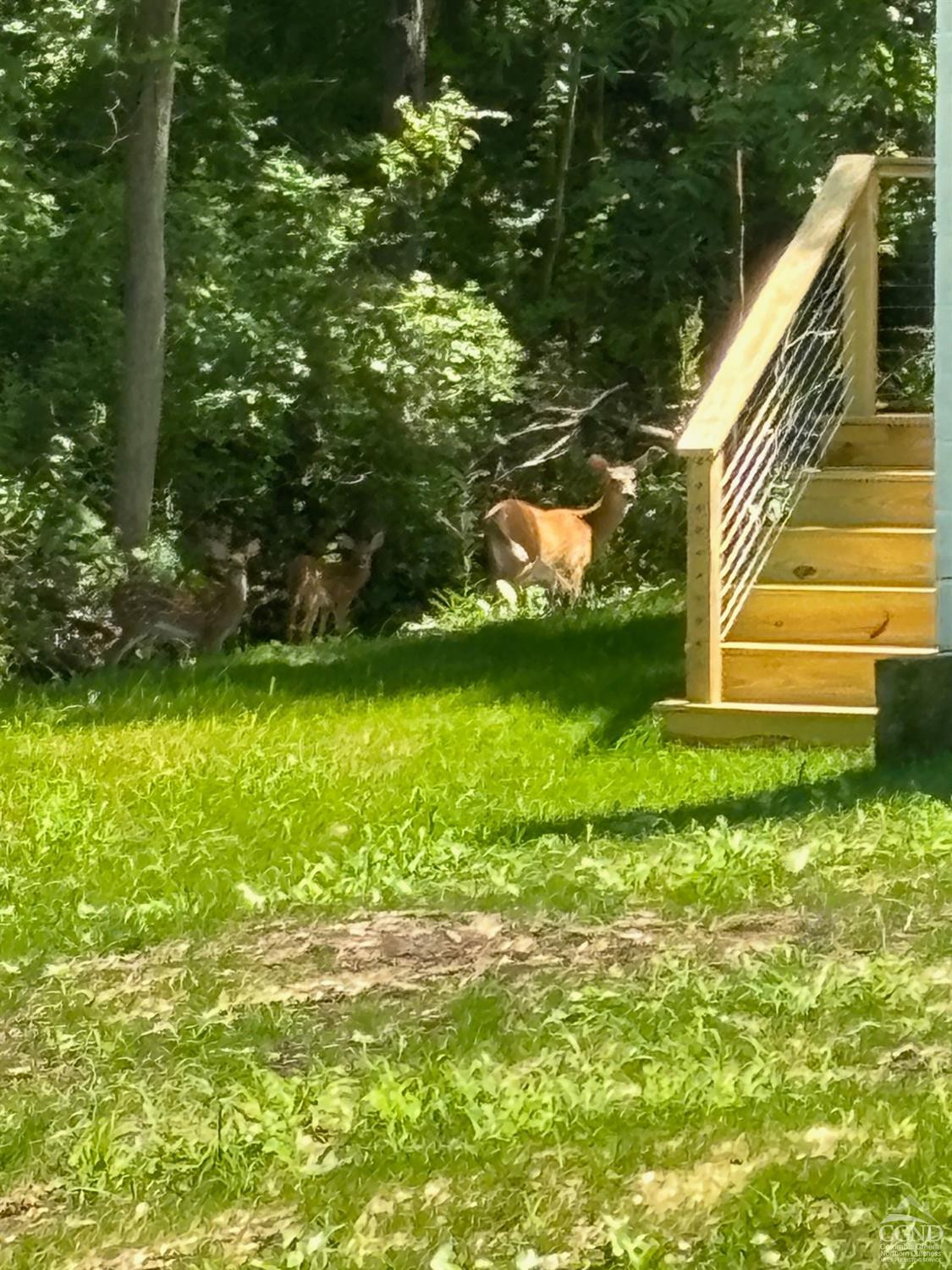 754 Pumpkin Hollow Road South Copake, NY 12529 - Photo 12 of 12 Photo 12