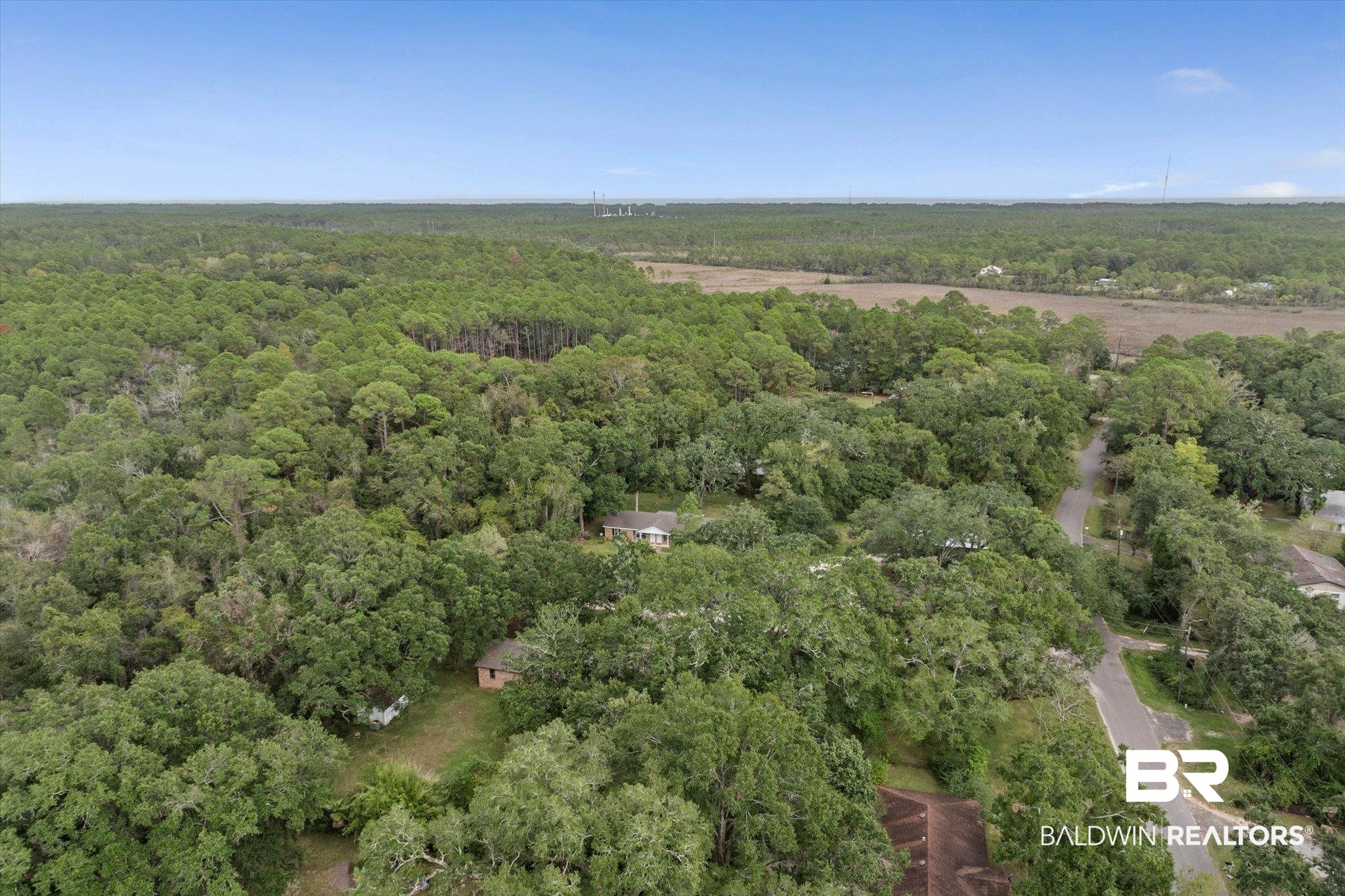 14165 River Oaks Road, Unit A & B Coden, AL 36523 - Photo 28 of 35 Aerial overview of property's location with a heavily wooded area